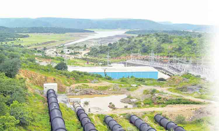 యాసంగి సీజన్‌లో ముమ్మర సాగు