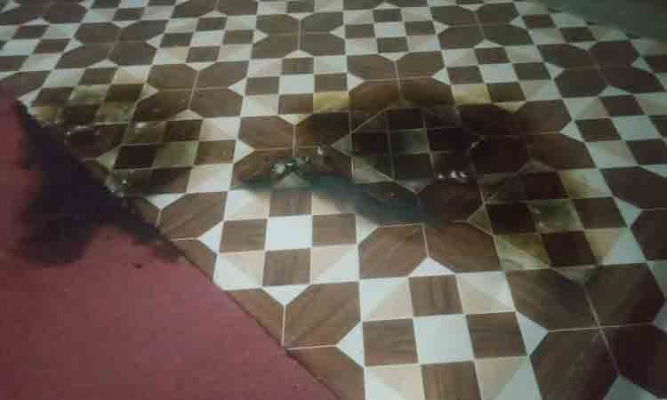 బీజేపీ కార్యాలయంపై పెట్రోల్‌ బాంబ్‌ దాడి..