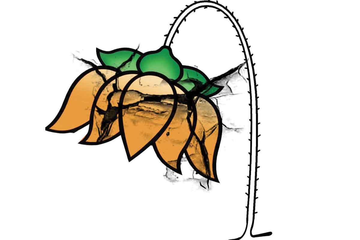 ఆ ఐదు రాష్ర్టాల్లో భంగపాటే