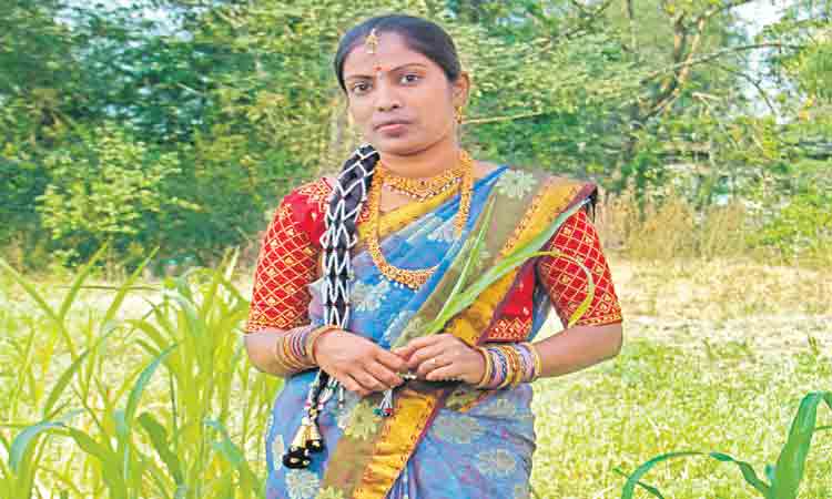 సందమామ.. సందామామా!