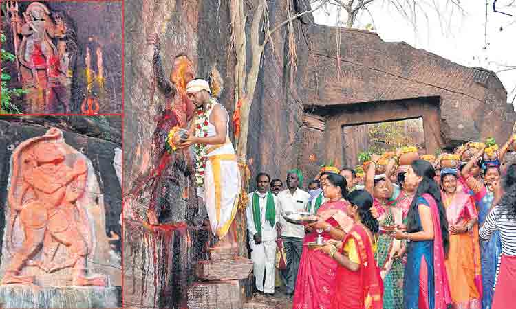 వనంలో.. జనజాతర