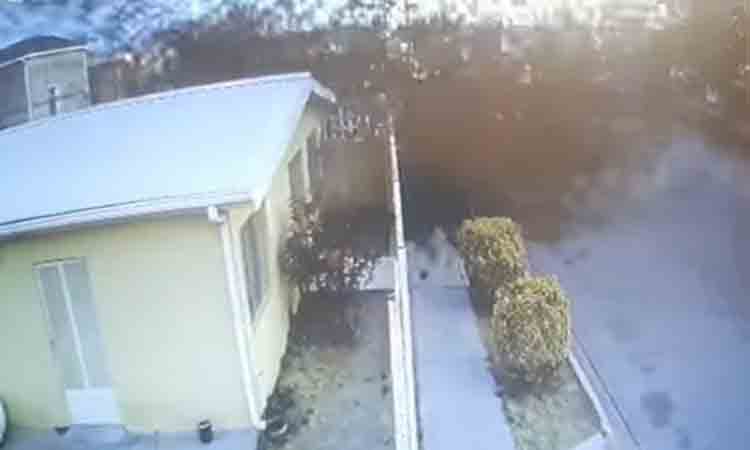 Viral Video: ఆకాశం నుంచి దూసుకొచ్చిన పక్షుల గుంపు… వందల సంఖ్యలో మృతి