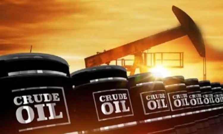 Crude Oil | సౌదీని వెనక్కి నెట్టి.. యూరప్‌కు అతిపెద్ద ముడి చమురు సరఫరాదారుగా భారత్‌