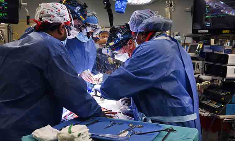 చెన్నై యువ‌కుడి గుండె క‌శ్మీరీ మ‌హిళ‌కు దానం