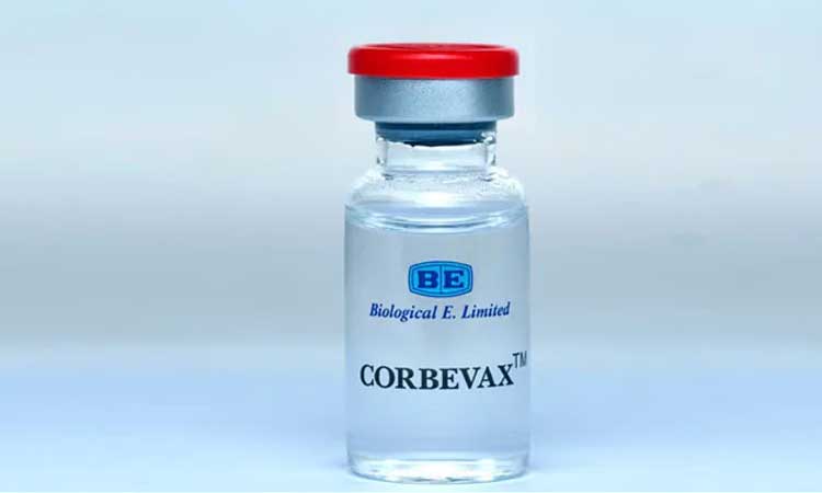 Covid-19 Vaccine | బయోలాజికల్‌ ఈ కార్బెవాక్స్‌ 12-18 వ్యాక్సిన్‌కు డీసీజీఐ ఆమోదం