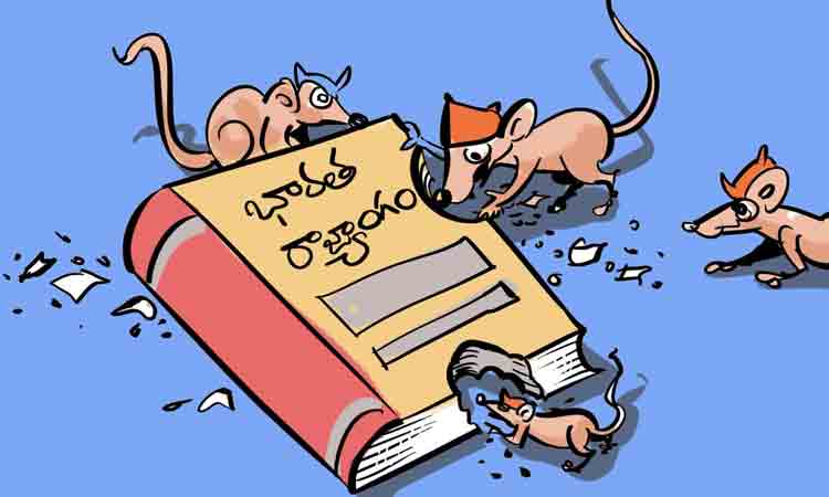 మన రాజ్యాంగం సవరణకు అనుకూలం