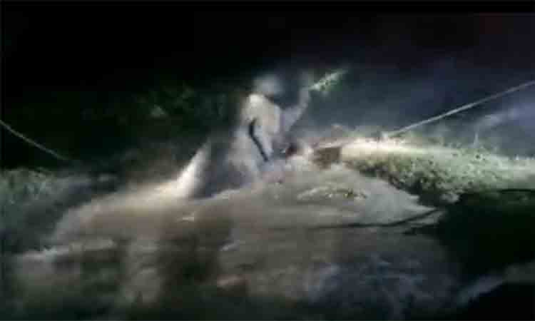 Watch: ఏనుగును రక్షించేందుకు, ఆర్కిమెడిస్‌ సిద్ధాంతం… ఏం చేశారంటే?