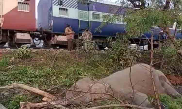 ఏనుగును ఢీకొట్టి… కిలోమీటరు ఈడ్చుకెళ్లిన రైలు