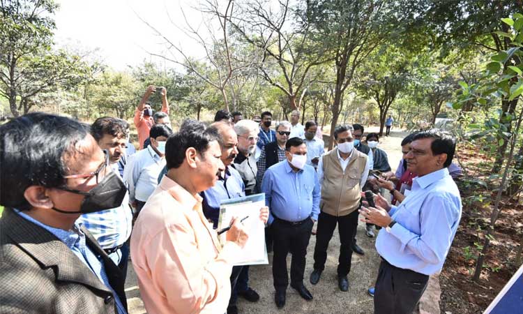 తెలంగాణలో అడవుల నిర్వహణ భేష్‌ : కంపా నేషనల్‌ సీఈవో