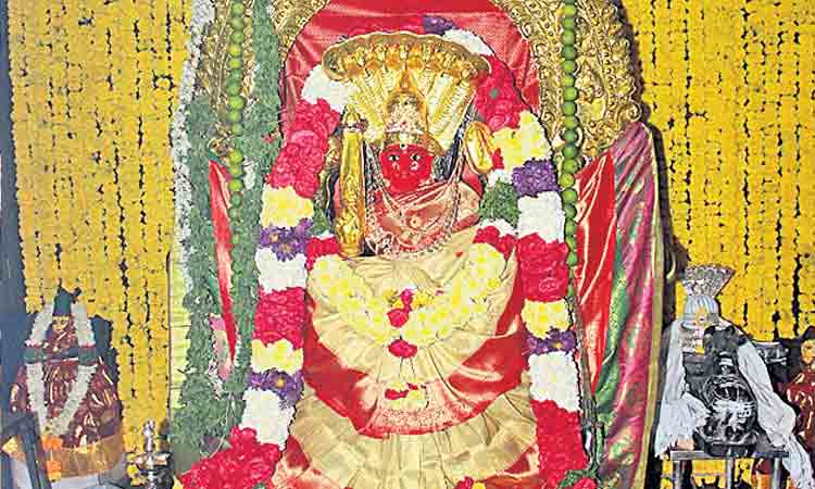 దీవించమ్మా.. మైసమ్మ