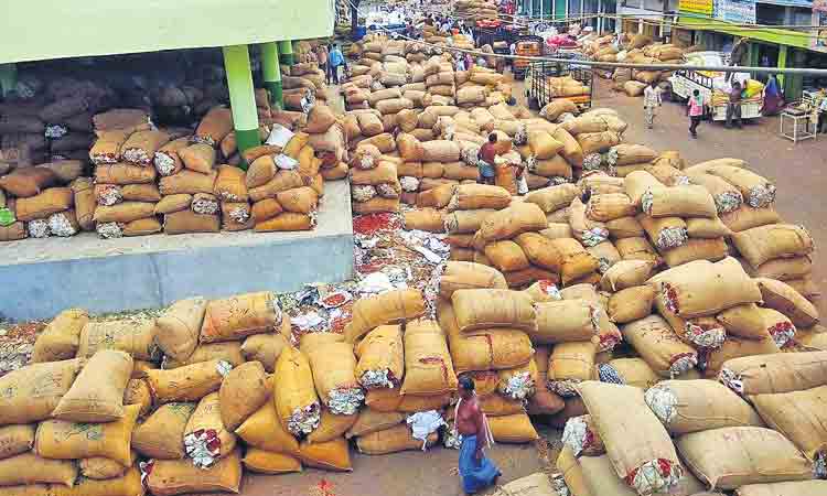 ఎర్రబంగారం @29,300