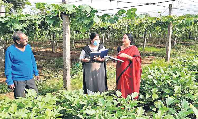 ఉత్తమంగా వ్యవసాయం
