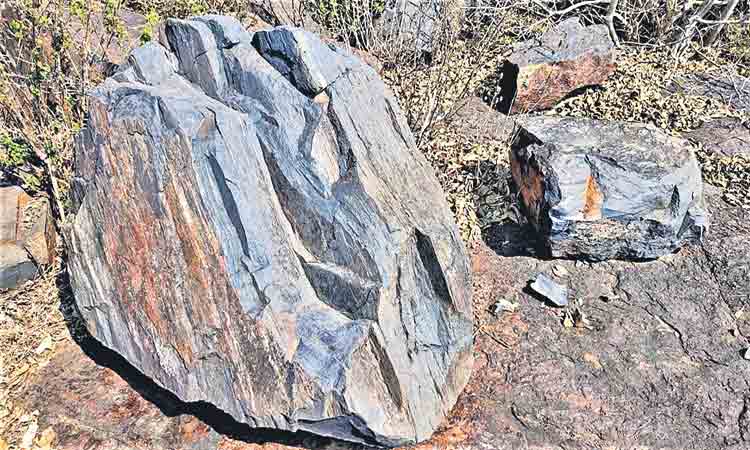 నిర్మల్‌ జిల్లాలో ఇనుప ఖనిజం