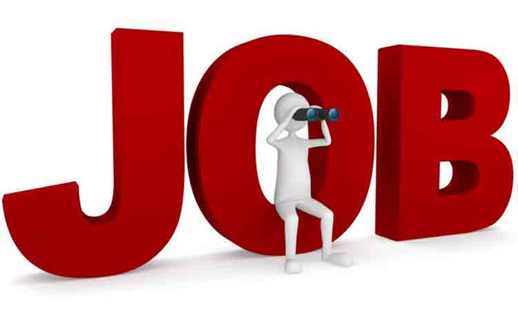 ఫ్రెషర్లకు పట్టం