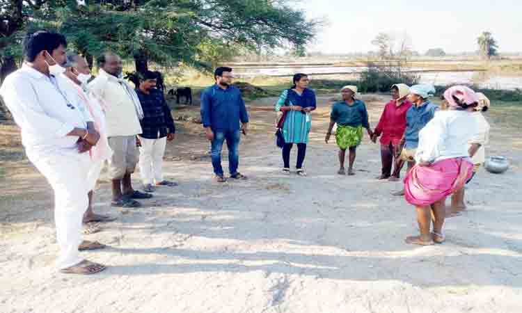 ఆరుతడి.. ఇష్టపడి..