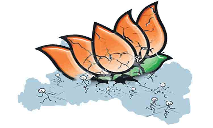 బీజేపీలో అంతర్మథనం