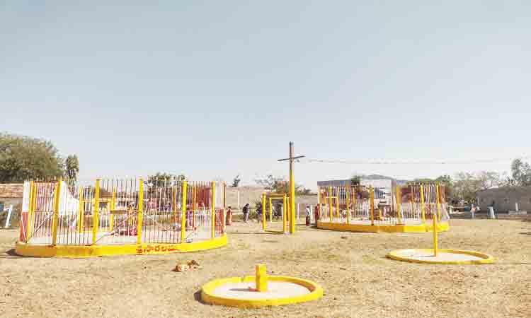 సమ్మక్క జాతరపోయొద్దమా..