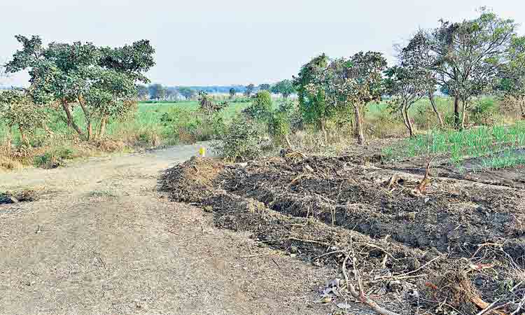 సంగమేశ్వర, బసవేశ్వర ఎత్తిపోతలతో జిల్లా సస్యశ్యామలం
