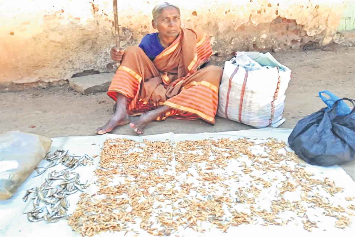 అంగడి నేర్నిన బతుకుదెరువు