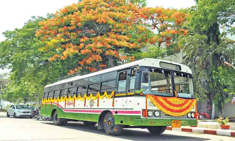 మేడారానికి ప్రత్యేక బస్సులు