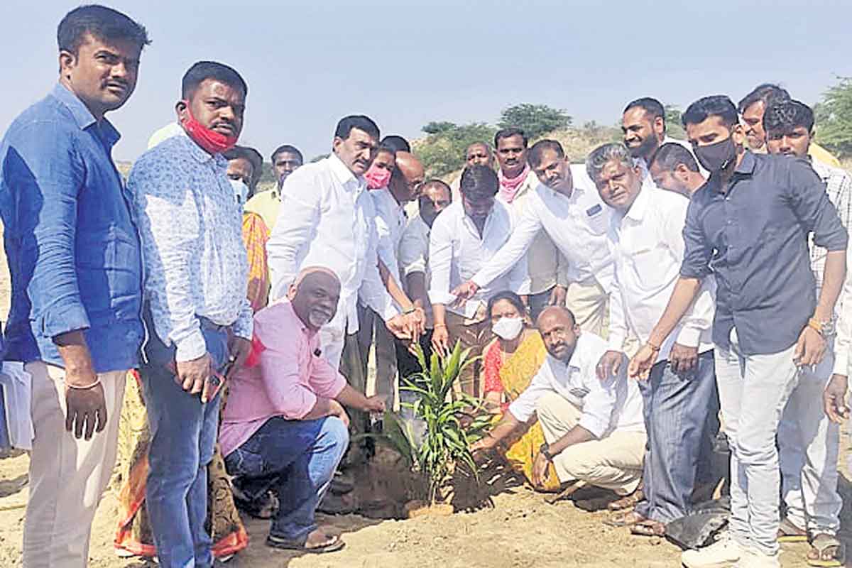 ఆయిల్‌పామ్‌ సాగు లాభదాయకం