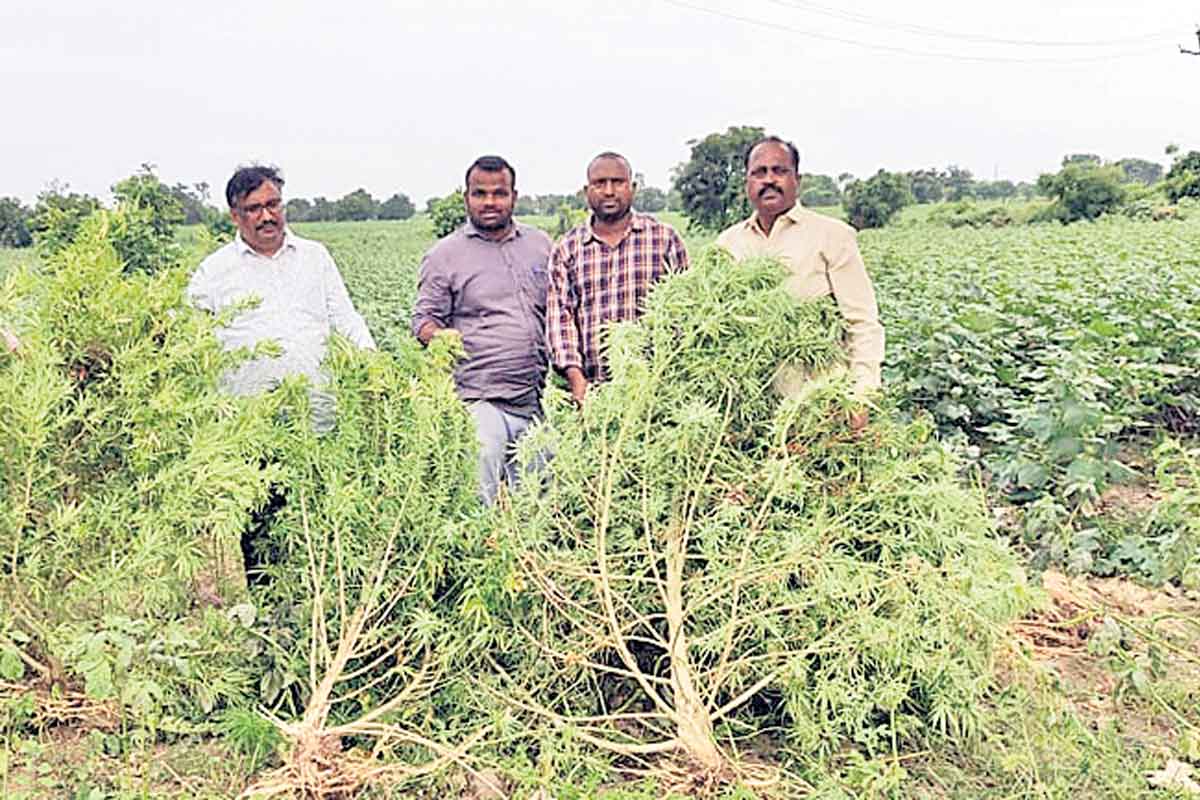 మత్తు వదలాలి..!