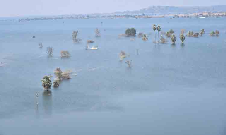 మురిసిపోతున్న అన్నదాతలు..భవిష్యత్తుకు భరోసా