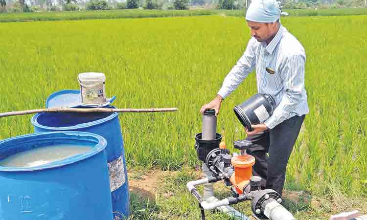 సేంద్రియంలో రారాజు..