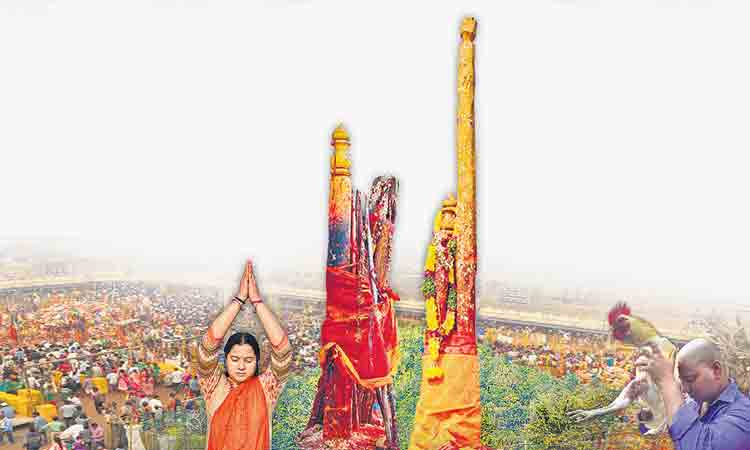 సమ్మక్క సారలమ్మ జాతర గురించి ఈ విషయాలు మీకు తెలుసా?