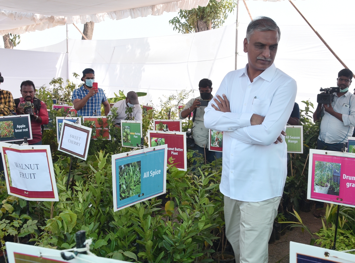 Grand Nursery Mela | మొక్కల పెంపకంతో పర్యావరణహితం….ఆరోగ్యం….రాష్ట్ర వైద్య ఆరోగ్య, ఆర్థిక శాఖ మంత్రి హరీశ్‌ రావు