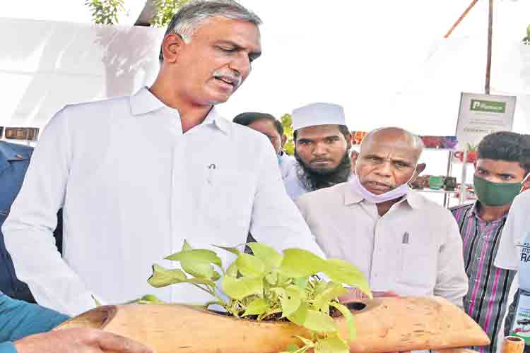 మొక్కలతో ఆరోగ్యం.. ఉల్లాసం