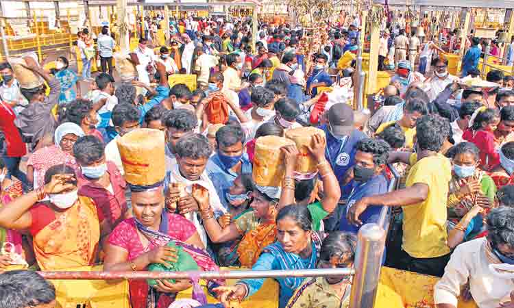 నేటి నుంచే మేడారం మహాజాతర