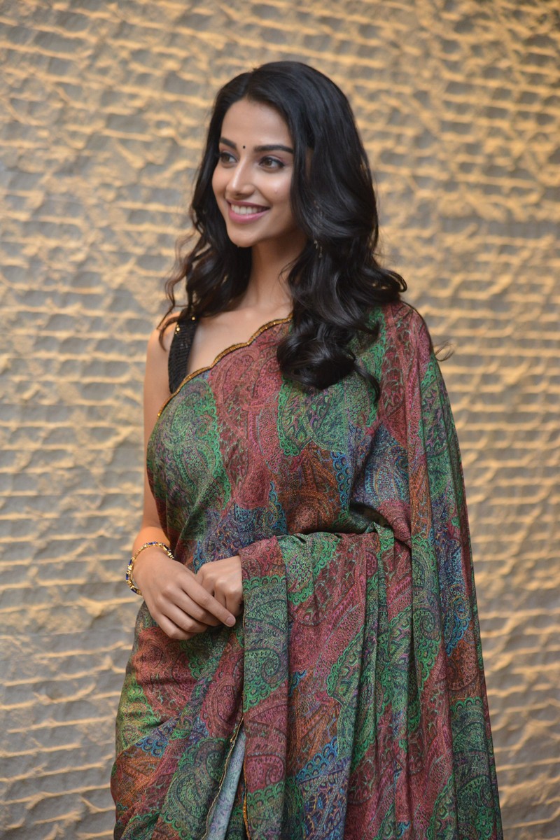 Meenakshi Chaudhary