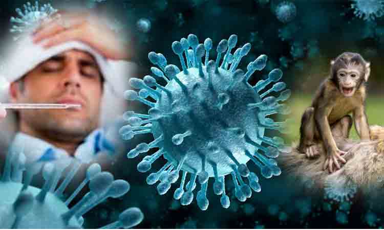 Monkey fever | కేరళలో మంకీ ఫీవర్‌ కలకలం..