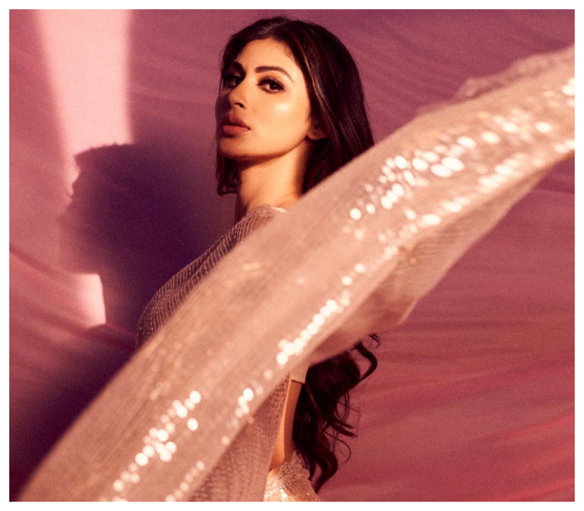 Mouni Roy | మౌనీ రాయ్‌ గ్లామరస్ ఫొటోలు..