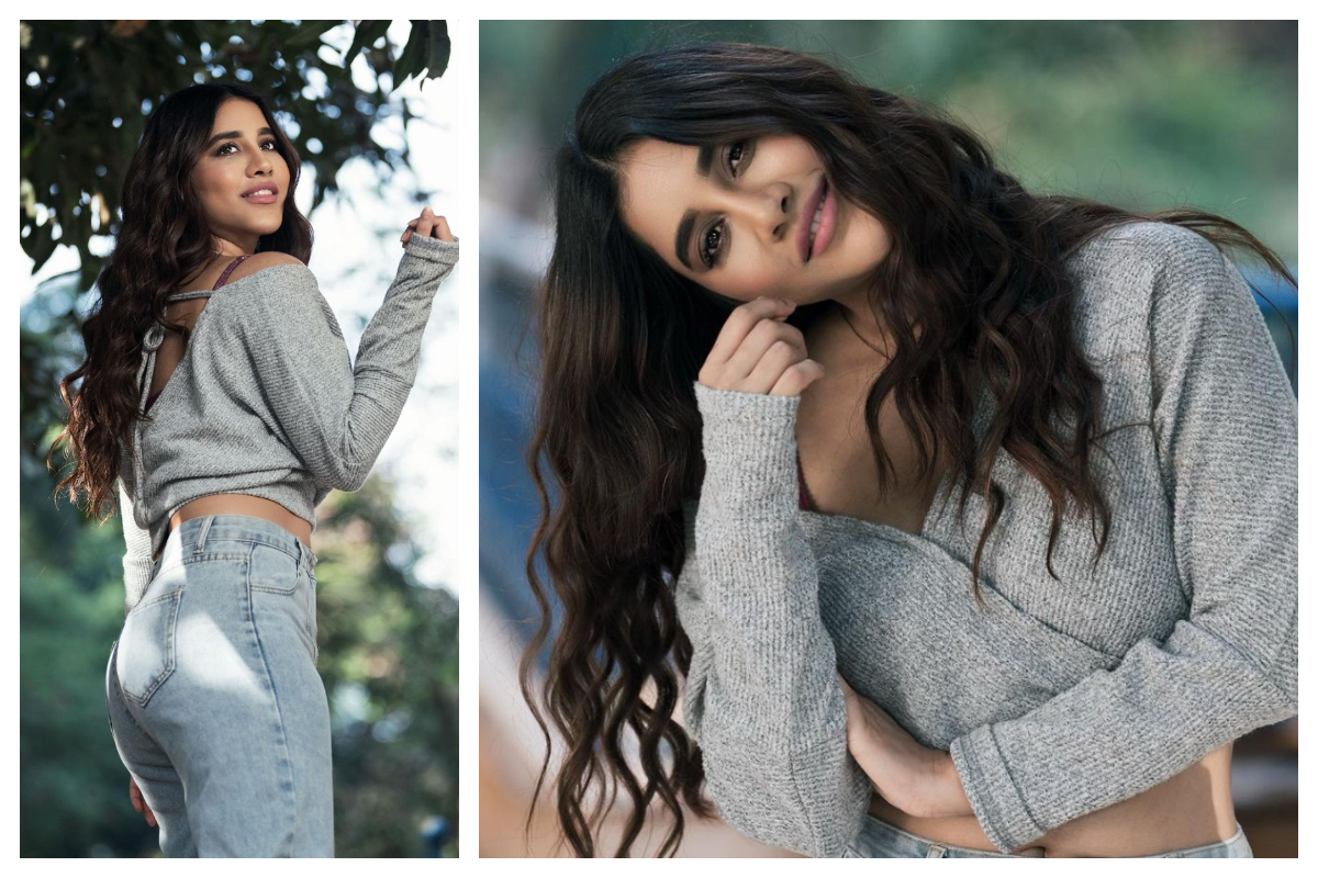 Nabha Natesh | గ్లామర్‌తో మదిని దోచేస్తున్న ఇస్మార్ట్ భామ నబా నటేశ్‌..