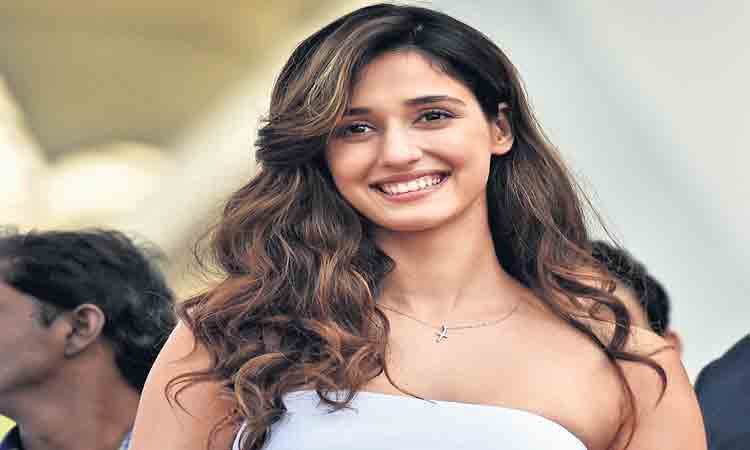 ఏడాదంతా తీరిక లేదట