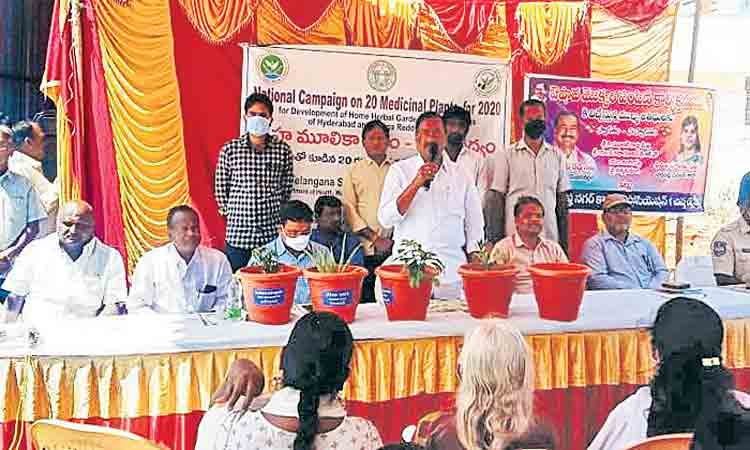 ప్రతి ఒక్కరూ ఔషధ మొక్కలు నాటాలి