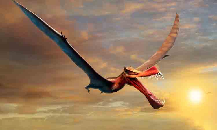 Pterosaur | బయటపడిన అతిపెద్ద రాకాసి పక్షి శిలాజం.. ఎక్కడ దొరికిందంటే