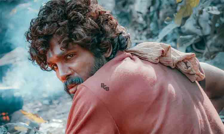 అల్లు అర్జున్ ఫ్యాన్ లిస్టులో మరో స్టార్ హీరో.. బన్నీ నటనకు బాలీవుడ్ ఫిదా..