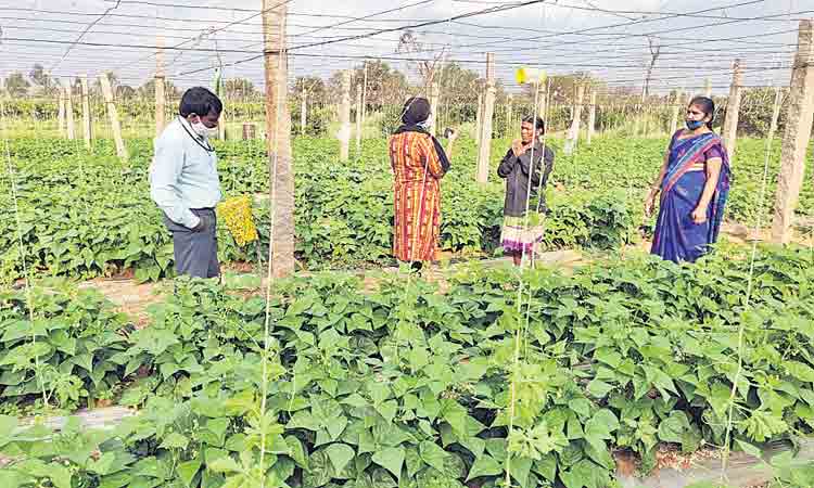 రైతు మెచ్చేలా మహిళ మురిసేలా..