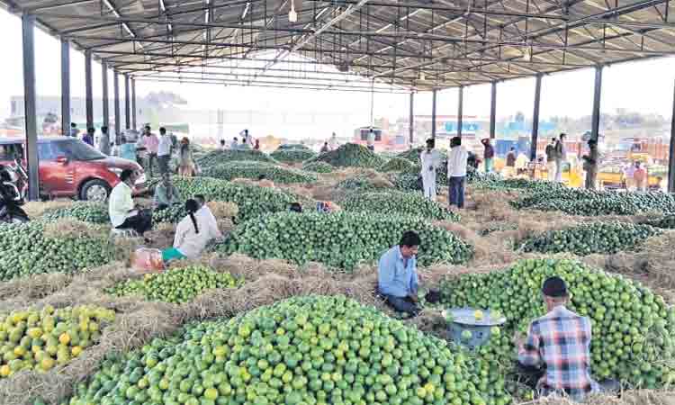 పండ్ల మార్కెట్‌కు.. మరో 18 ఎకరాలు