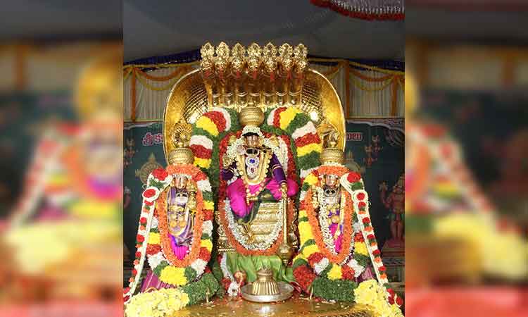 పెద్దశేష వాహనంపై వైకుంఠ నారాయ‌ణుడిగా శ్రీ‌నివాసుడి దర్శనం