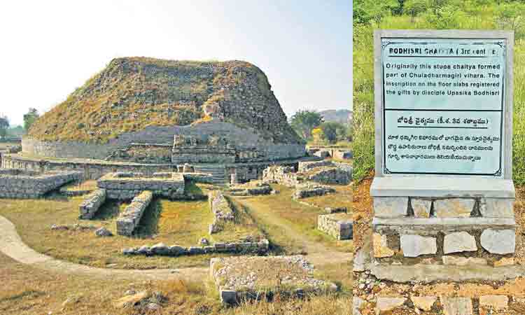 విష్ణుకుండినుల నాణాలపై గల చిహ్నం?