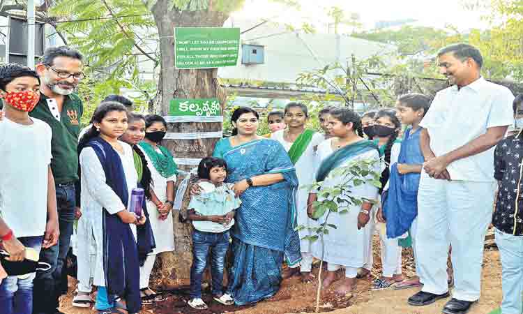 చిగురిస్తున్న చెట్టుకు బర్త్‌డే!