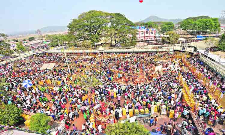 వనదేవతల సేవలో..
