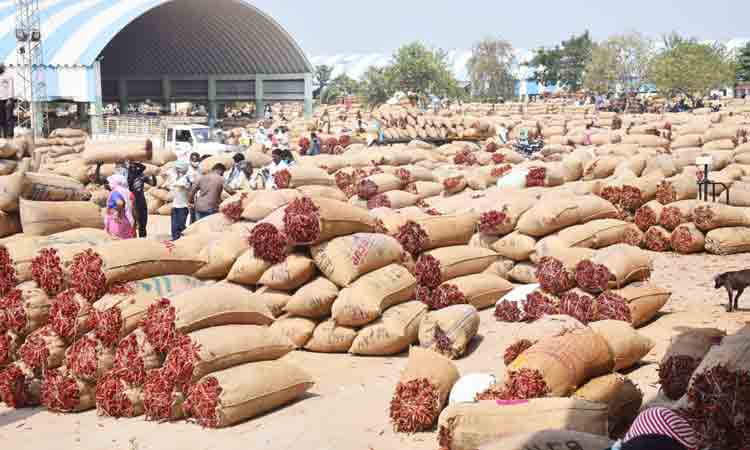 రికార్డుల మార్కెట్‌