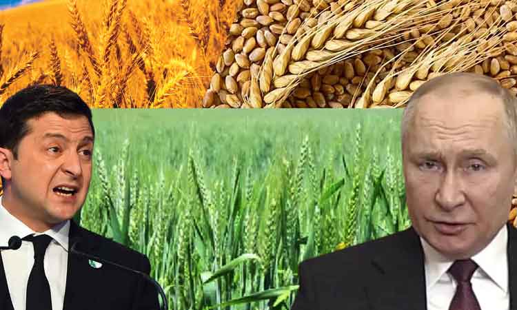 Russia Invansion | గోధుమ‌ల ఎగుమ‌తి.. భార‌త్‌కు క‌లిసి వ‌చ్చేనా?!