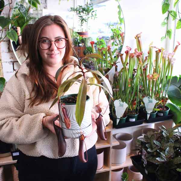 మొక్కలు జాగ్రత్త!