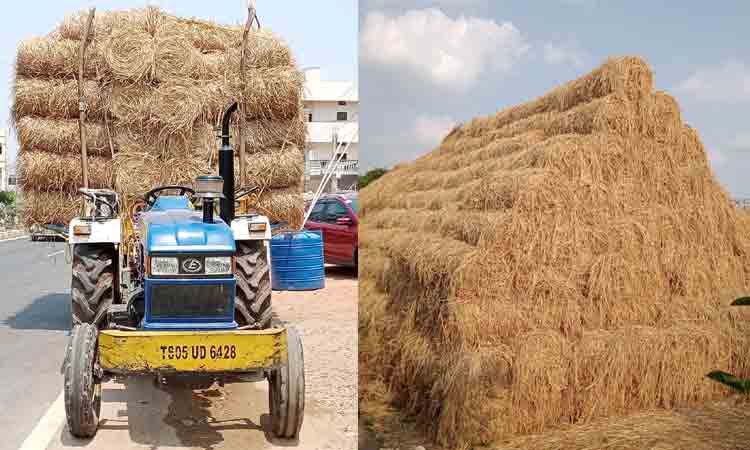 వరి గడ్డికి గిరాకీ